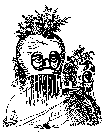 Drawing of person in ancient Hawaiian helmet.
